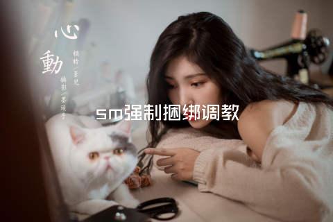 sm强制捆绑调教